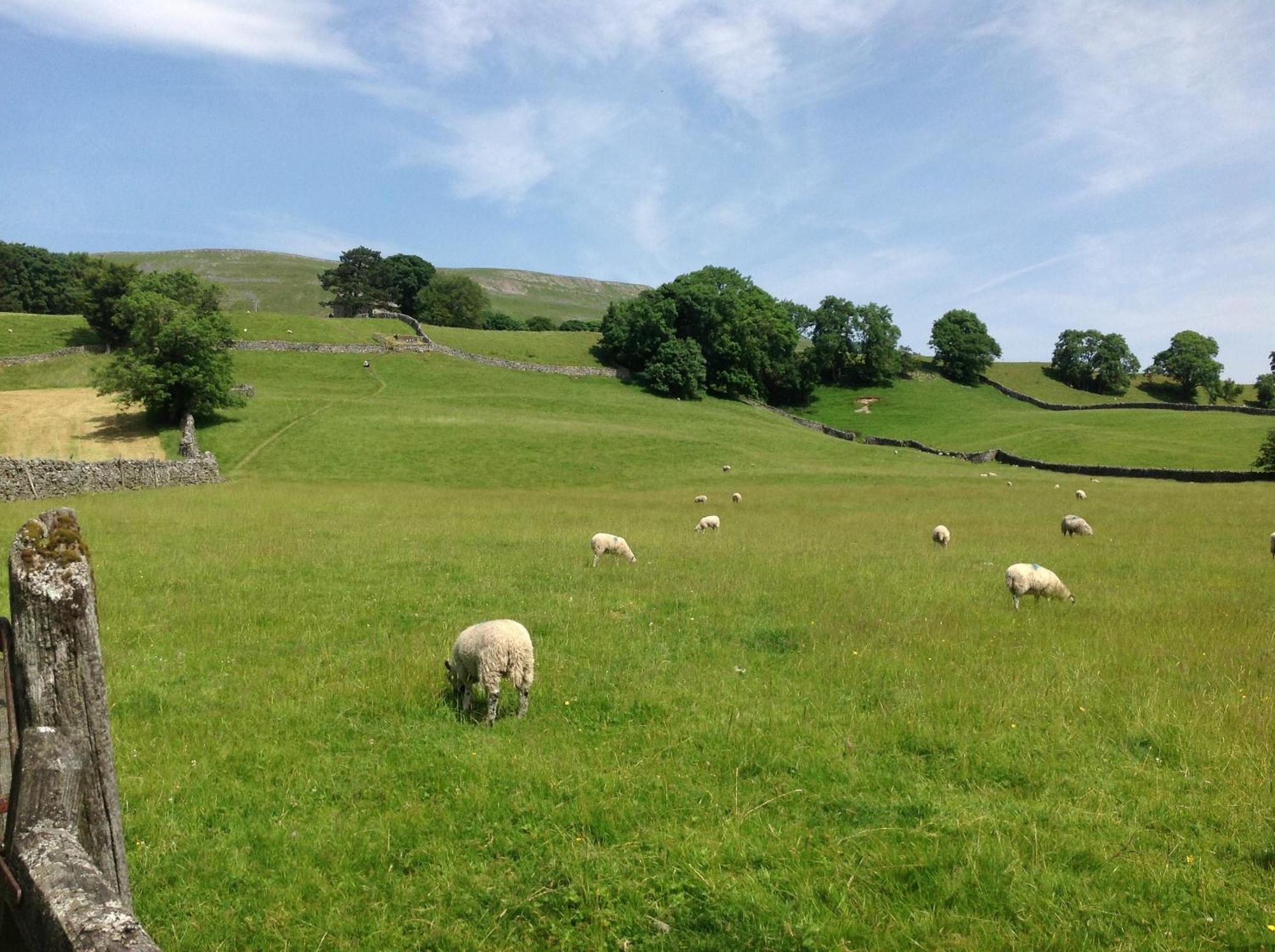 Cissy'S Cottage Hawes Esterno foto